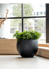 Fiberstone Jumbo Orb L Noir