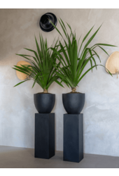 Fiberstone Jesslyn S Black