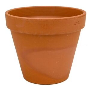 Oranje bloempot