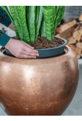 Valencia Feuille d'argent Ronde L