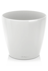 Lechuza Classico Blanc Brillant - Copie