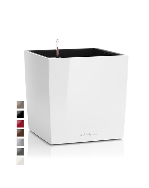 Lechuza Lechuza - Copy