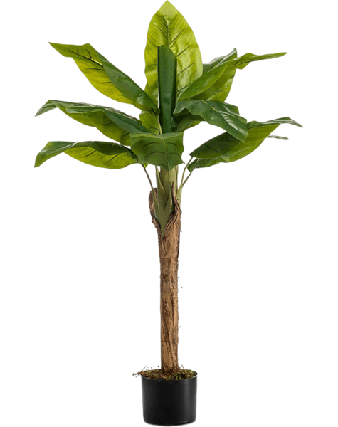 Kunstplant - sale