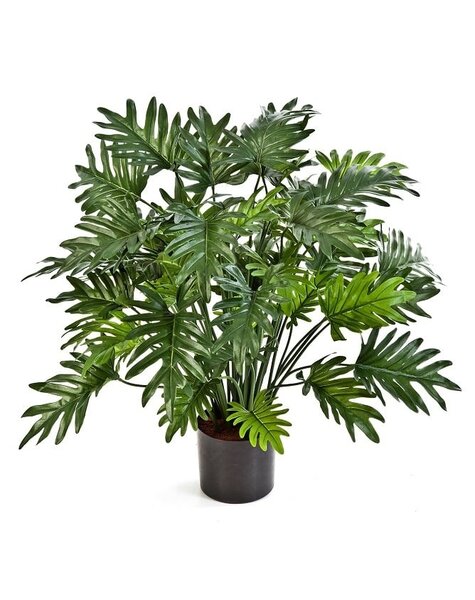 Kunstplant -sale