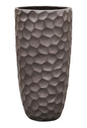 Baq Tortuga Partenaire Vert Forêt