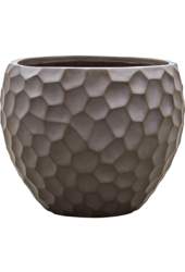 Baq Tortuga Couple Forest Green