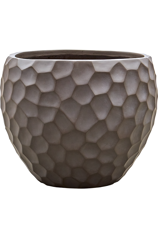 Baq Tortuga Couple Forest Green