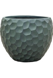 Baq Tortuga Couple Chocolate Brown