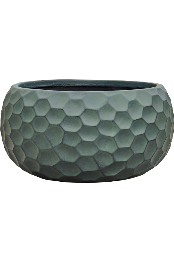 Baq Tortuga Globe Chocolate Brown