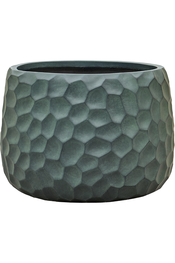 Baq Tortuga Darcy Marron Chocolat