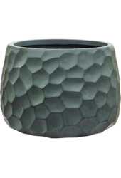 Baq Tortuga Darcy Chocolate Brown