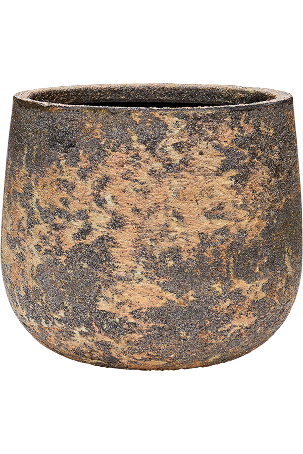 Baq Atlas Darcy White