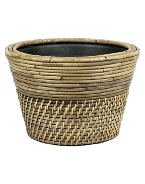 Rotan - sale