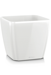 Lechuza Quadro Anthracite