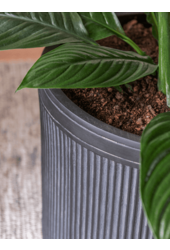 Baq Cylindre à Côtes Verticales Anthracite - vente