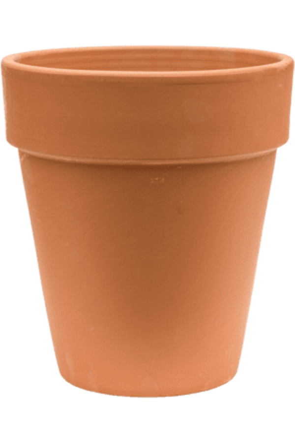 Terre Cuite Classique Bord Haut 26