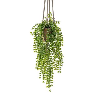 Kunst hangplant