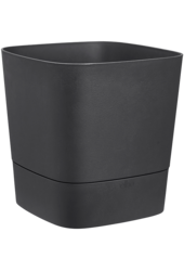 Greensense Aqua Care Carré Béton Clair