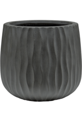 Wave Pax S, Lavé fossile