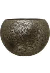 Baq Opus Hit Globe Gold (avec bac d'insertion)