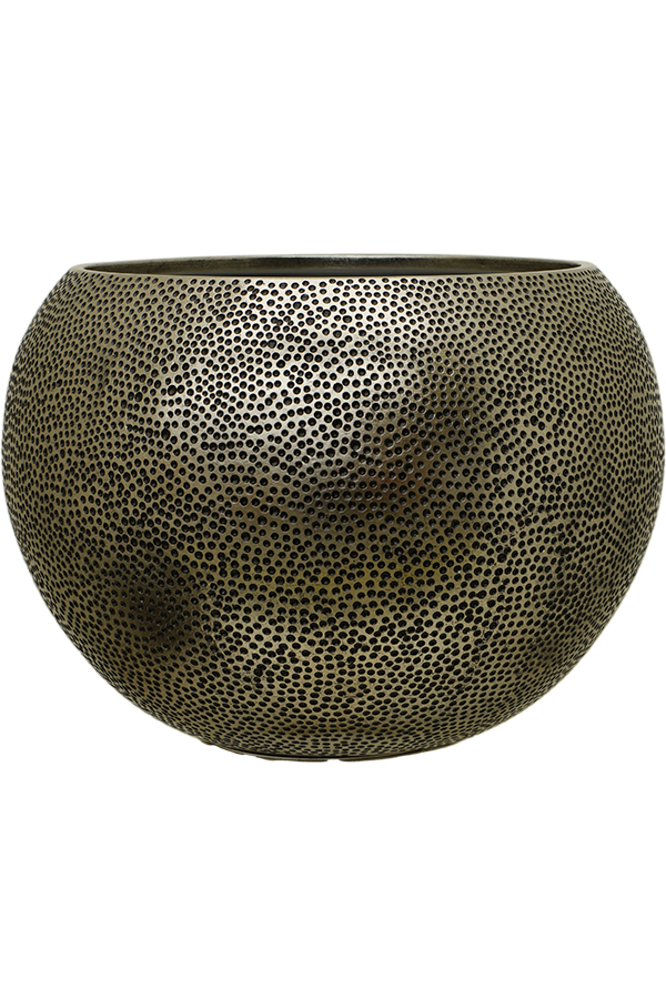 Baq Opus Hit Globe Gold (avec bac d'insertion)