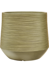 Baq Dune Darcy Brown Beige