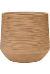 Baq Dune Darcy Beige