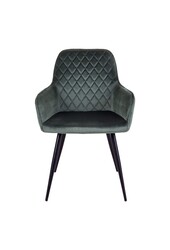 Harbo Eetkamerstoel - Fluweel, Staal, Groen - Set van 2