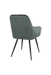 Harbo Eetkamerstoel - Fluweel, Staal, Groen - Set van 2