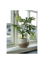 Vijgenboom - Groen, PE-kunststof, H:60 cm