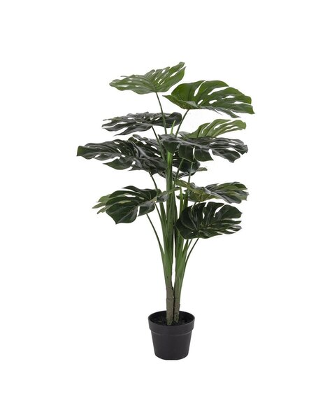 Monstera - Groen, PE-kunststof/polyester/draad/cement, 17x18x90 cm