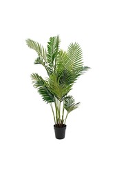Areca Palm - Groen, PE Kunststof/Polyester, 64x64x175 cm