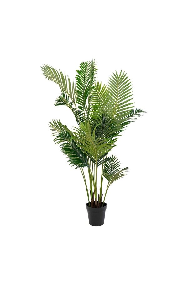 Areca Palm - Groen, PE Kunststof/Polyester, 64x64x175 cm