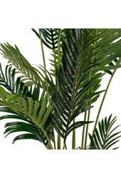 Areca Palm - Groen, PE Kunststof/Polyester, 64x64x175 cm
