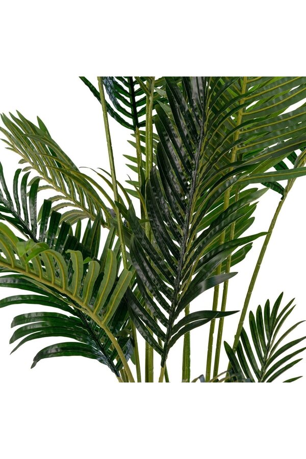 Areca Palm - Groen, PE Kunststof/Polyester, 64x64x175 cm