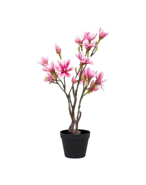 Magnoliaboom - Groen/Rosa, PE-kunststof, H:74 cm