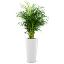 Lechuza Monstera in Zelfwatergevende Rondo