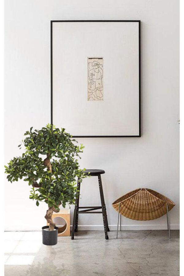 Pittosporum mountain kunstplant