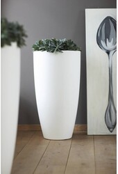 Pure Soft Round High 50