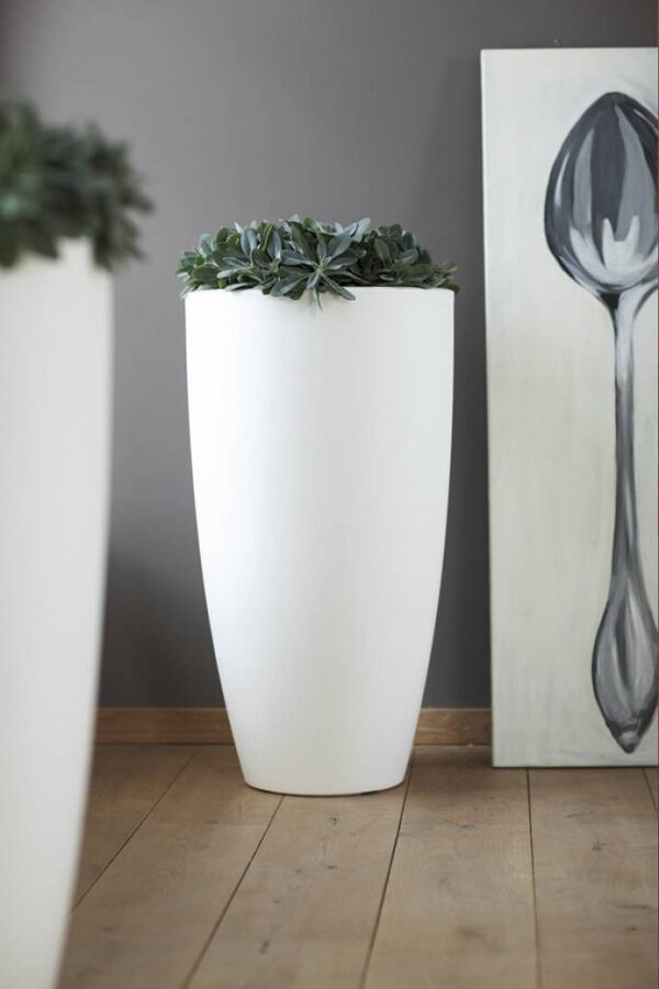 Pure Soft Round High 50