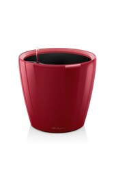 Classique Tout Compris XL