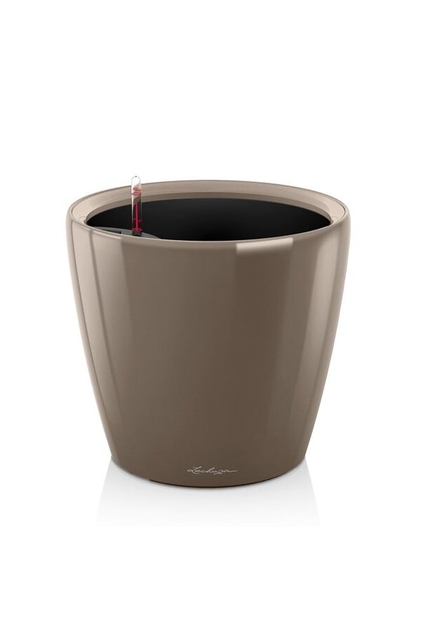 Classique Tout Compris XL