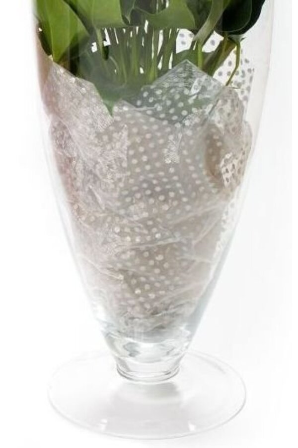 Anthurium White Champion in vaas L