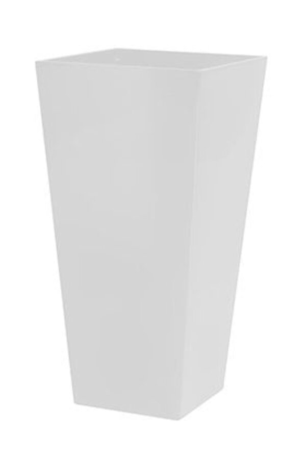 Hydroplant Croton in witte zelfwatergevende Runner