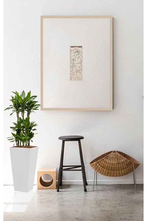 Dracaena Janet dans Pot auto-arrosant Runner