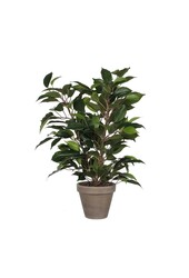 Ficus Natasja Künstliche Pflanze im Stan-Blumentopf – H40 x Ø30 cm – Grün