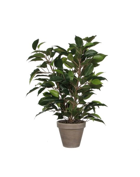 Ficus Natasja Künstliche Pflanze im Stan-Blumentopf – H40 x Ø30 cm – Grün