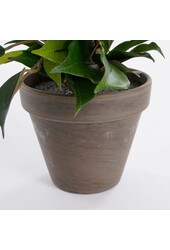 Ficus Natasja Künstliche Pflanze im Stan-Blumentopf – H40 x Ø30 cm – Grün