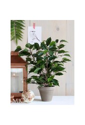 Ficus Natasja Künstliche Pflanze im Stan-Blumentopf – H40 x Ø30 cm – Grün