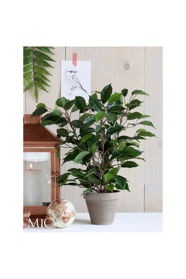 Ficus Natasja Künstliche Pflanze im Stan-Blumentopf – H40 x Ø30 cm – Grün